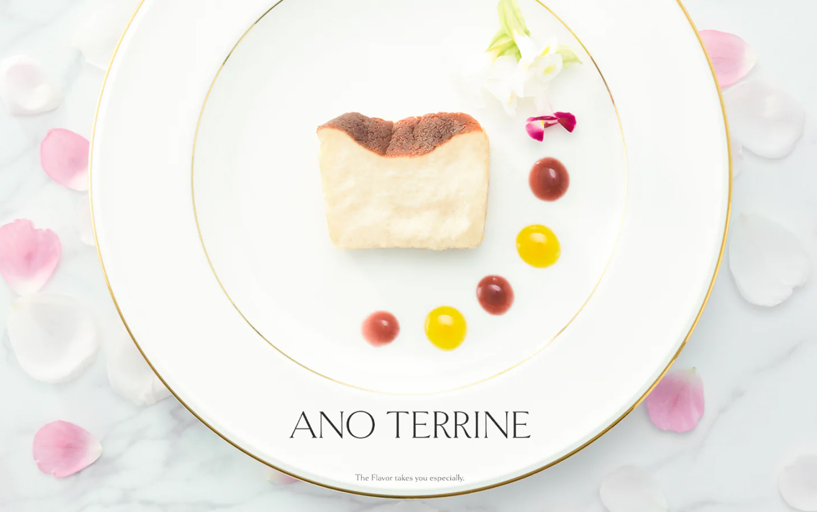 高級テリーヌ専門店 『ANO TERRINE』 - JAPAN SELECT株式会社